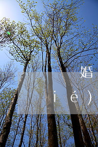 寫離婚協(xié)議書的樣板(離婚協(xié)議寫好的樣板)