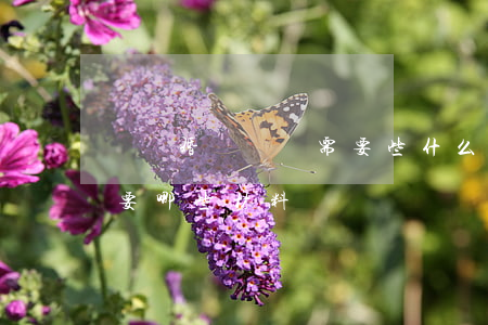 寫離婚訴訟書需要些什么東西(離婚起訴狀需要哪些材料)