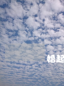 寫離婚起訴狀多少錢(寫離婚訴訟狀多少錢)