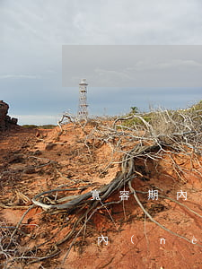 寬容期內(nèi)還款算逾期嘛(在寬限期內(nèi)還款算逾期嗎)