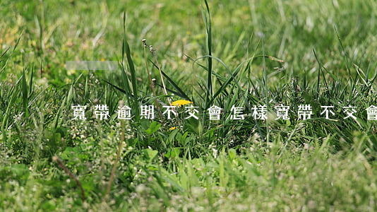 寬帶逾期不交會怎樣(寬帶不交會怎么樣)