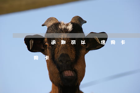 寬帶逾期可以辦信用卡嗎(逾期是否可以辦信用卡)
