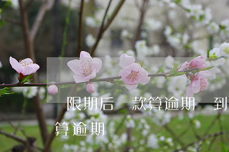 寬限期后還款算逾期嗎(到期還款日還款算不算逾期)