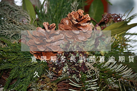 寬限期多長時間算逾期(貸款逾期寬限期是多久)