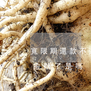 寬限期還款不逾期吧(超過寬限期期一天就是逾期了是嗎)