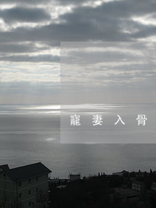 寵妻入骨 總載我要離婚