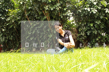 寵物發(fā)生交通事故能否理賠？