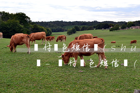 寶付錢包短信說(shuō)我逾期還要上門-寶付錢包短信說(shuō)我逾期還要上門是真的嗎