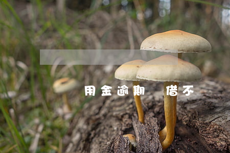 寶備用金逾期會借不