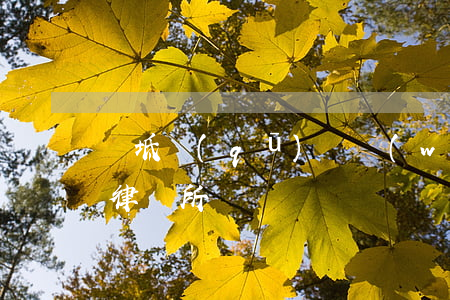 寶坻區(qū)債務(wù)追討律師(寶坻律師所電話)