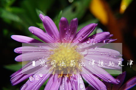 寶坻司法局法律援助(天津司法局法律援助中心)