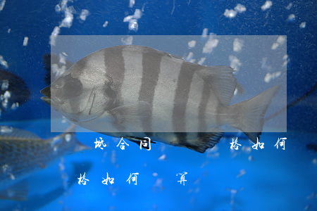 寶坻合同糾紛價格如何計算(寶坻合同糾紛價格如何計算)