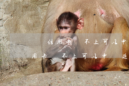 寶媽信用卡還不上可以申請延期嗎-寶媽信用卡還不上可以申請延期嗎怎么辦