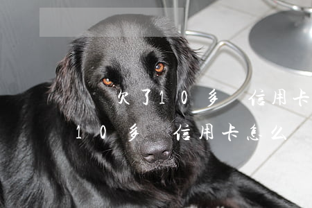 寶媽欠了10多萬信用卡怎么辦-寶媽欠了10多萬信用卡怎么辦理