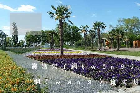 寶媽欠了網(wǎng)貸逾期了(寶媽欠了網(wǎng)貸逾期了)