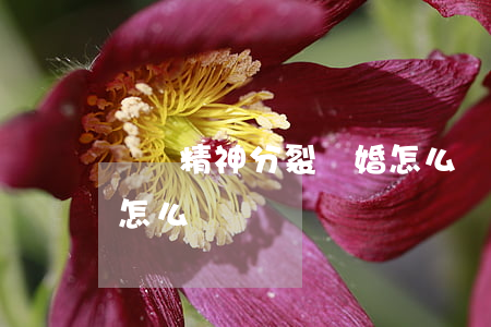 寶媽精神分裂離婚怎么辦(寶媽精神分裂離婚怎么辦)