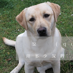 寶安債權(quán)債務(wù)律師費用多少(深圳債務(wù)律師事務(wù)所)