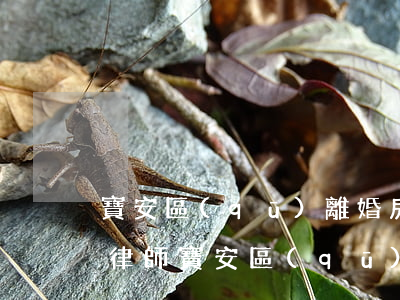 寶安區(qū)離婚房產(chǎn)分配律師(寶安區(qū)離婚房產(chǎn)分配律師)