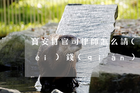 寶安打官司律師怎么請(qǐng)(沒(méi)錢(qián)請(qǐng)律師怎么打官司)