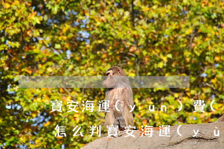 寶安海運(yùn)費(fèi)糾紛律師怎么判(寶安海運(yùn)費(fèi)糾紛律師怎么判)
