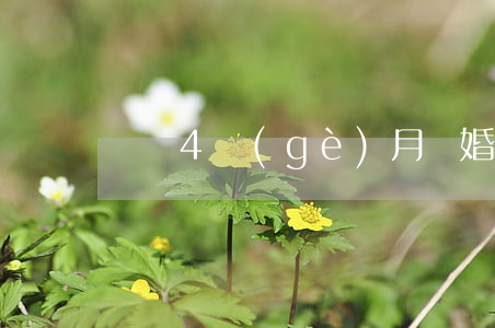 寶寶4個(gè)月離婚怎么判