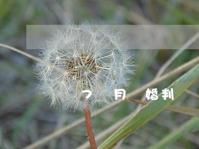 寶寶7個月離婚判給誰