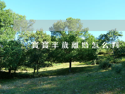 寶寶半歲離婚怎么判