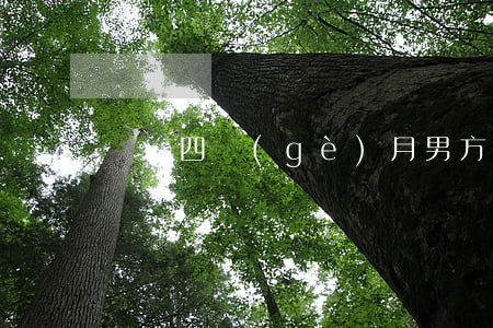 寶寶四個(gè)月男方提出離婚要怎么辦