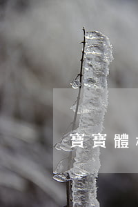 寶寶體檢逾期(寶寶體檢逾期怎么辦)