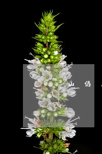 寶山信用卡逾期會(huì)怎樣