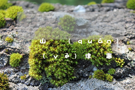 寶山債權(quán)債務(wù)律師專業(yè)律師事務(wù)所-寶山律師事務(wù)所免費咨詢