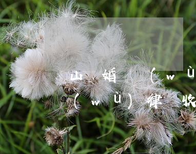 寶山離婚債務(wù)律師收費(寶山離婚債務(wù)律師收費多少錢)