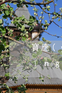 寶應(yīng)離婚在什么地方(寶應(yīng)離婚在什么地方)