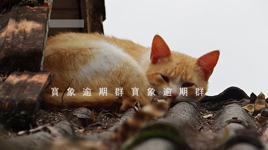 寶象逾期群（寶象逾期群）