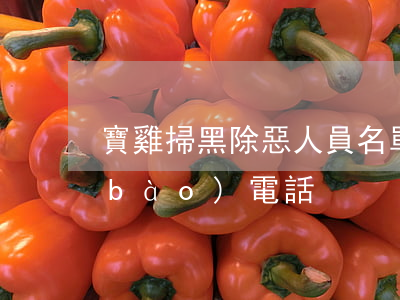 寶雞掃黑除惡人員名單(寶雞掃黑除惡舉報(bào)電話)