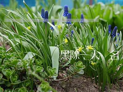 寶雞掃黑除惡人員名單(寶雞掃黑除惡舉報電話)