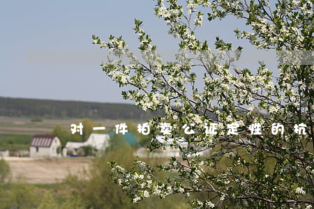 对一件拍卖公证定性的抗辩