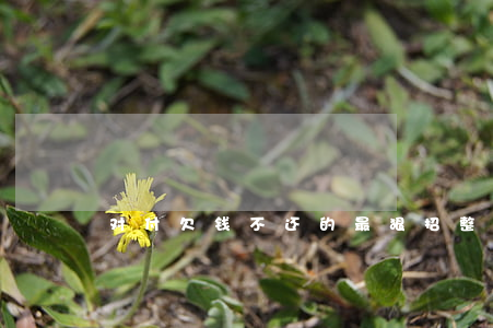 对付欠钱不还的最狠招(整欠钱不还的人阴招)
