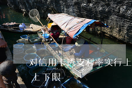 对信用卡透支利率实行上限(银行卡透支利率上下限)