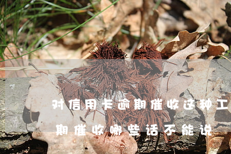 对信用卡逾期催收这种工作好干么（信用卡逾期催收哪些话不能说）