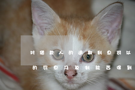 对借款人的逾期利息可以复利吗(逾期还款后的罚息及复利能否得到法律支持)