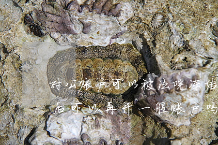 对公账户可以被法院冻结吗(对公账户被冻结后可以再开一般账户吗)