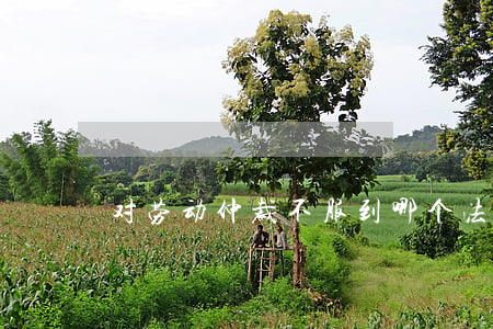 对劳动仲裁不服到哪个法院起诉