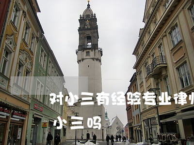 对小三有经验专业律师(律师可以去取证调查小三吗)