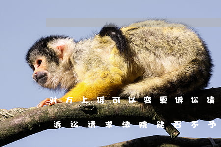 对方上诉可以变更诉讼请求吗(原告要求变更诉讼请求,法院能否不予支持)