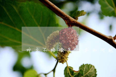 对方不赔偿怎么办，如何起诉？