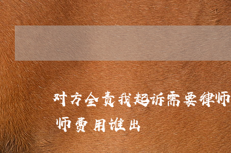 对方全责我起诉需要律师吗(对方全责我请律师费用谁出)