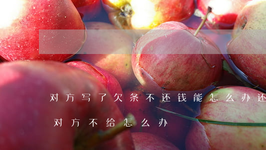 对方写了欠条不还钱能怎么办(还完钱后欠条对方不给怎么办)
