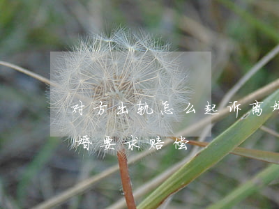 对方出轨怎么起诉离婚(对方出轨怎么起诉离婚要求赔偿)