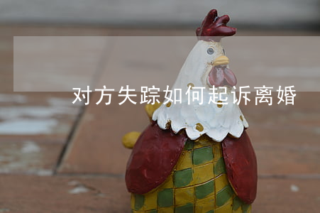 对方失踪如何起诉离婚